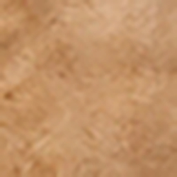 Greige Tan