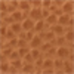 Field Brown