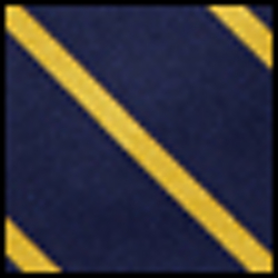 Navy/Gold