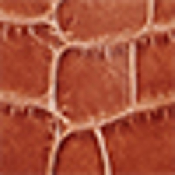 Maple