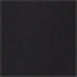 Polo Black