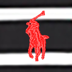 Polo Black/White