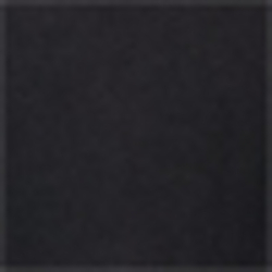 Polo Black