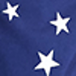 Americana Flag
