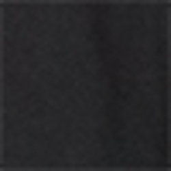 Polo Black