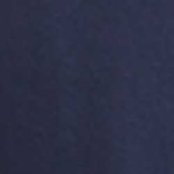 Cruise Navy