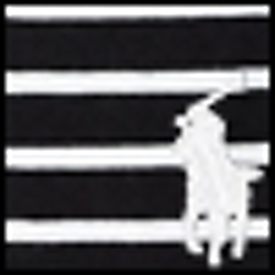 Polo Black/White 1