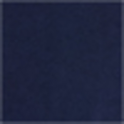 True Indigo