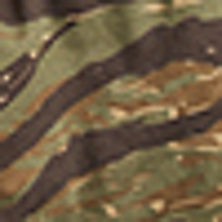 Tiger Stripe Camo