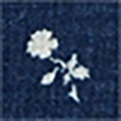 Multi Bandana