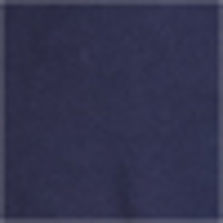 French Navy