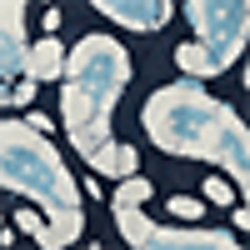 Indigo Paisley