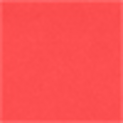 Neon Coral