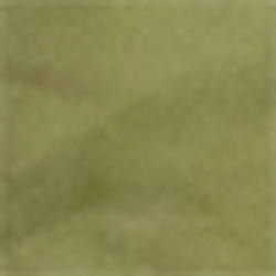 Olive/Coastal Orange