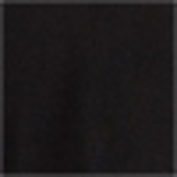 Polo Black