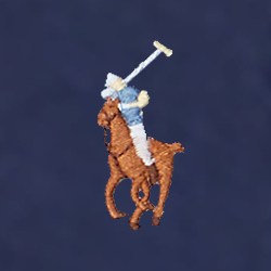 French Navy