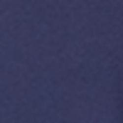 French Navy