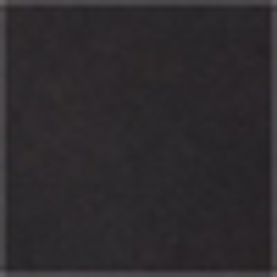 Polo Black