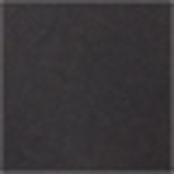 Polo Black