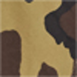 Vintage Surplus Camo