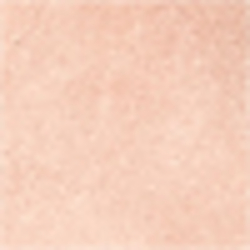 Nude Misty Rose