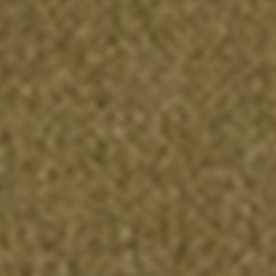 Canvas Olive