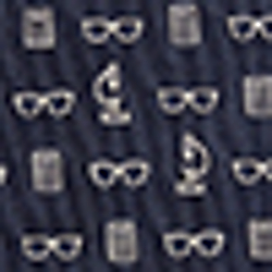 Navy/White