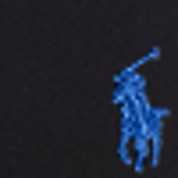 Polo Black/Metro Blue Pp
