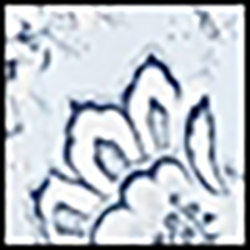 Blue Ground Floral