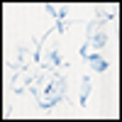 Ivory Ground Floral