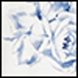 Ivory Ground Floral