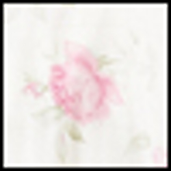 Ivory Ground Floral