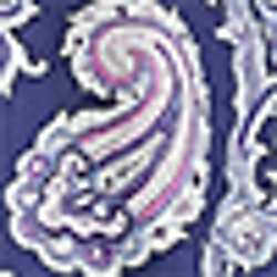 Navy Ground Paisley