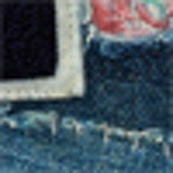 Lisa Wash