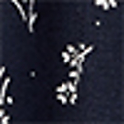 Indigo Floral