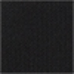 Polo Black