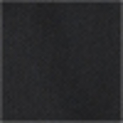 Polo Black