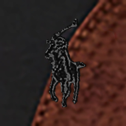 Polo Black