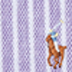 Charter Purple/White