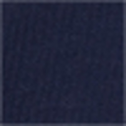 French Navy