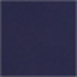 French Navy
