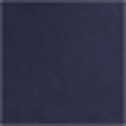French Navy