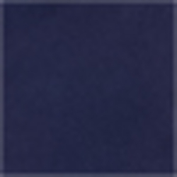 French Navy