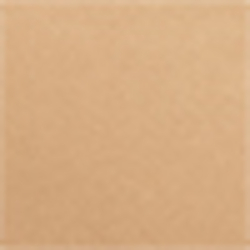 Fossil Beige