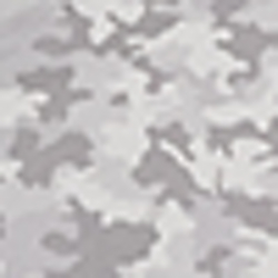 Villa Camo