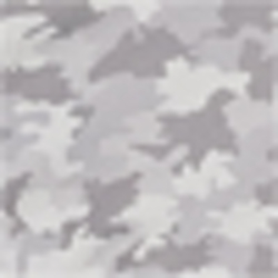 Villa Camo