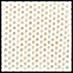Chic Cream