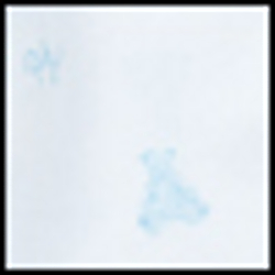 White/Blue