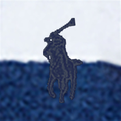 Bleu marine/Blanc