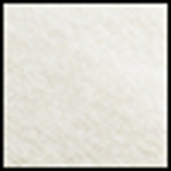 Studio Cream